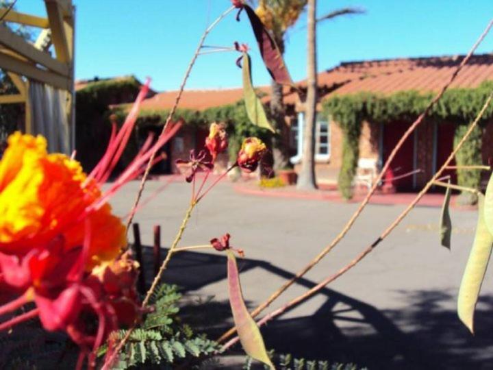 La Siesta Motel Tucson Buitenkant foto